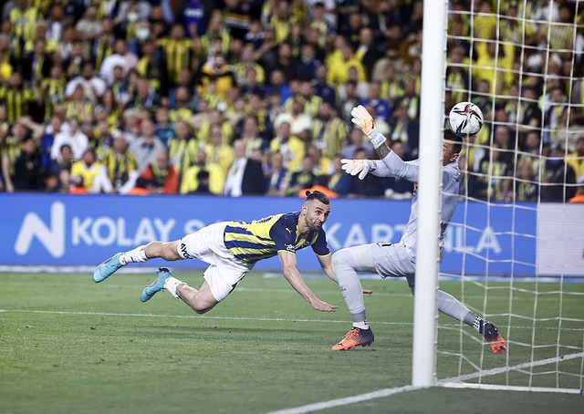 联结力量 联结力量