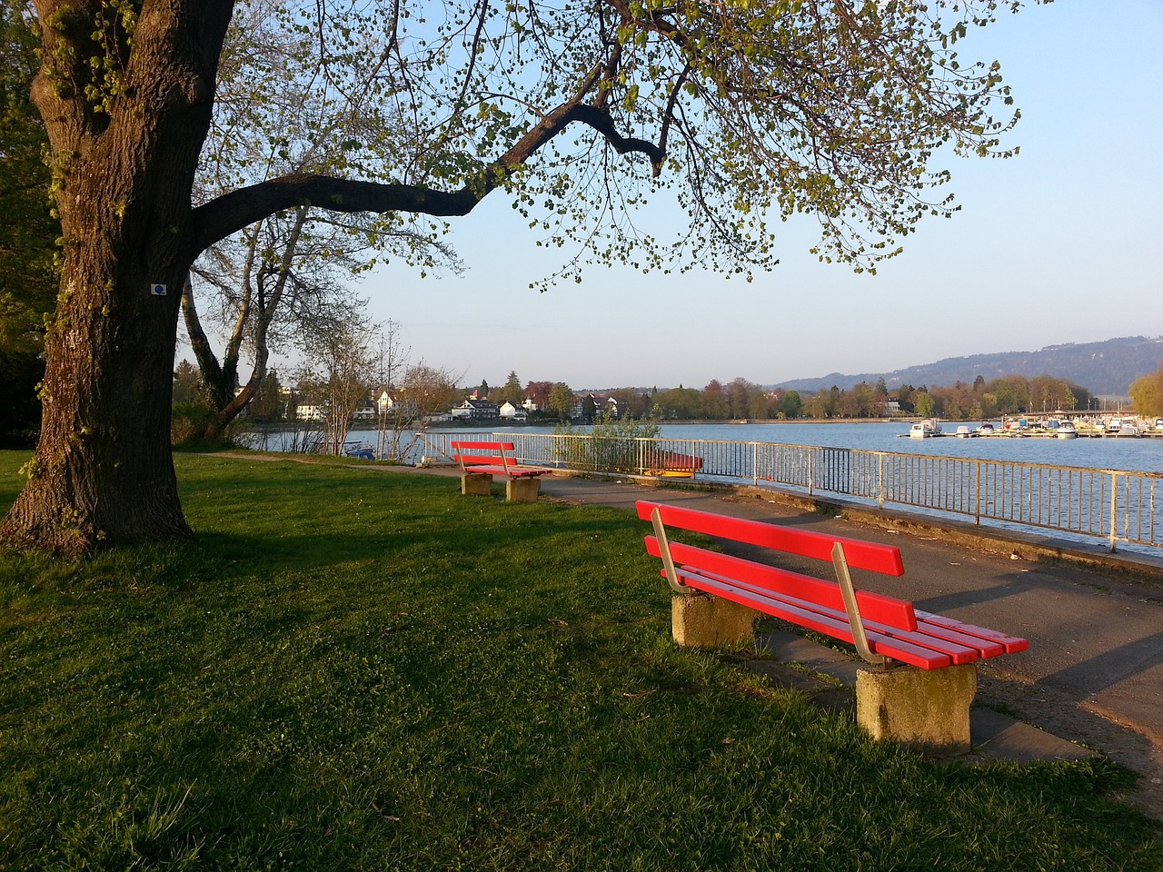 面的共同努 面的共同努