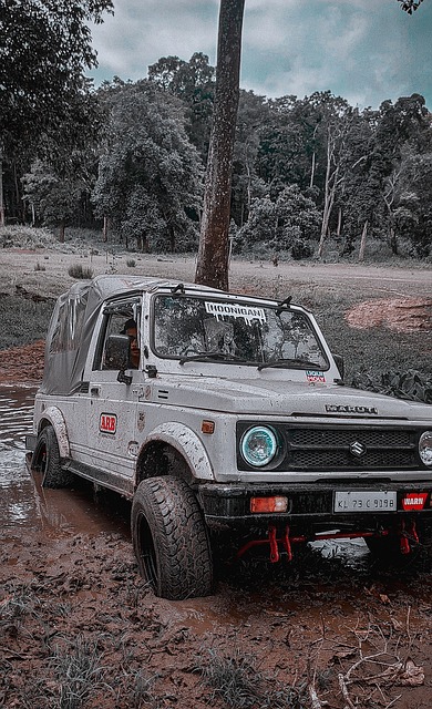 在刚刚过去 在刚刚过去