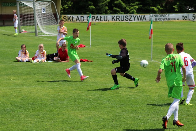 类似的情感 类似的情感