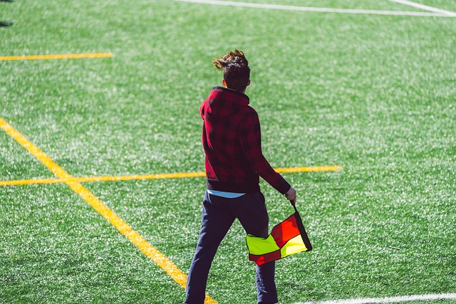 加以培养 加以培养