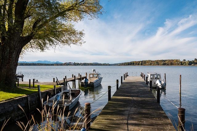 的凝聚力和 的凝聚力和