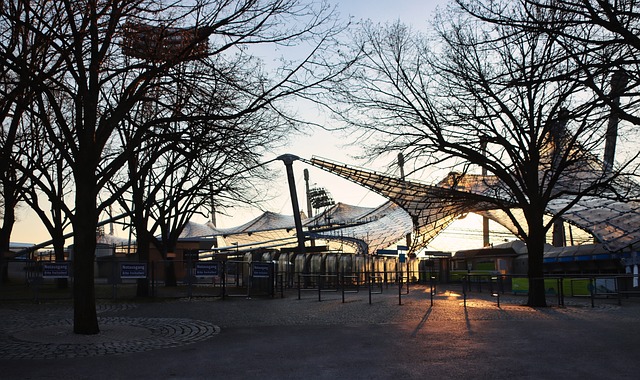 的战术选择 的战术选择