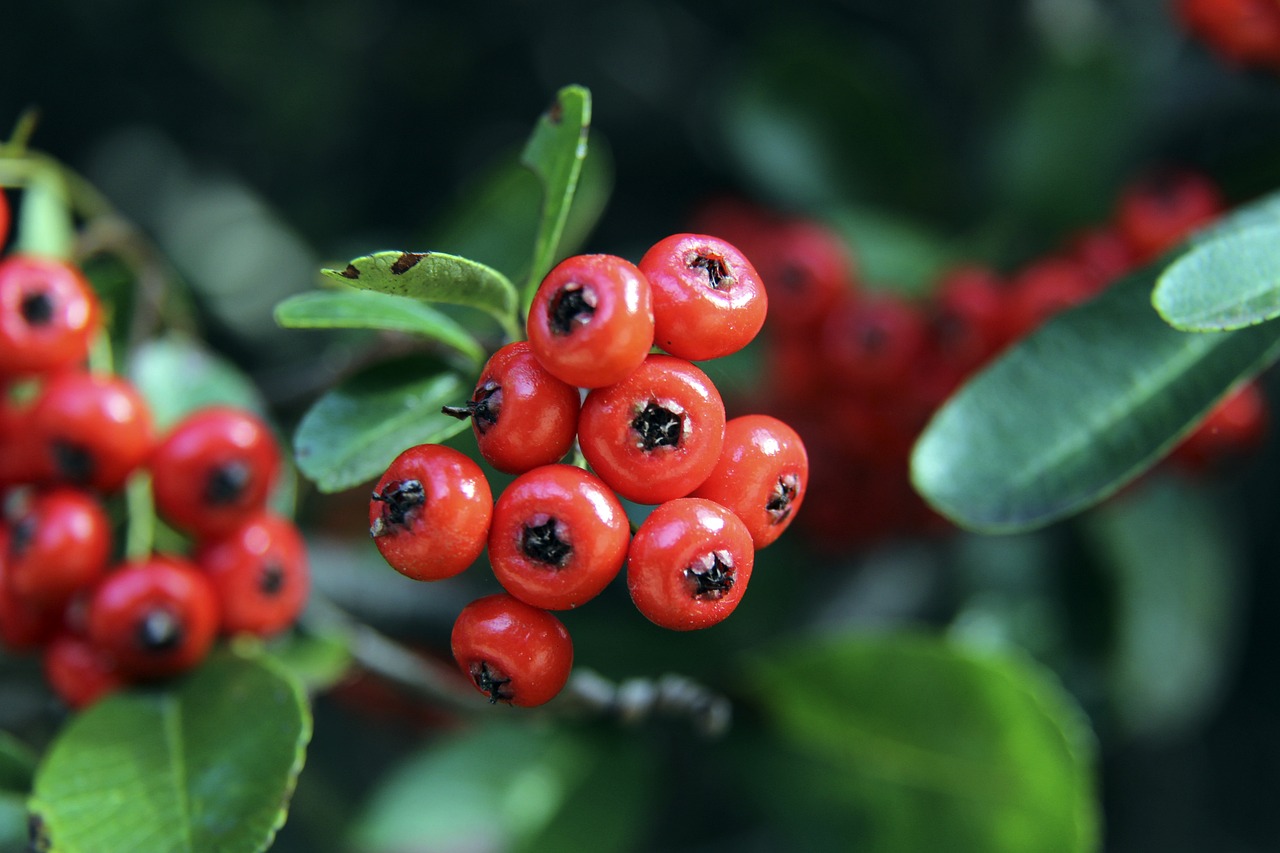 有可能对加 有可能对加