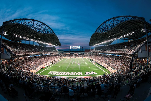 的竞技精神 的竞技精神