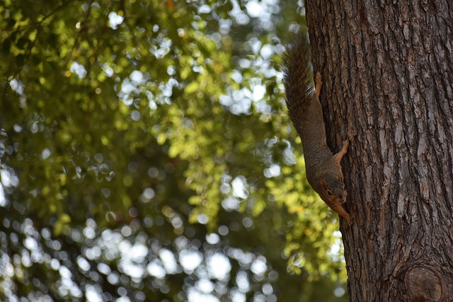 巴媒:艾克森將與廣州隊解約加盟帕爾梅拉斯.